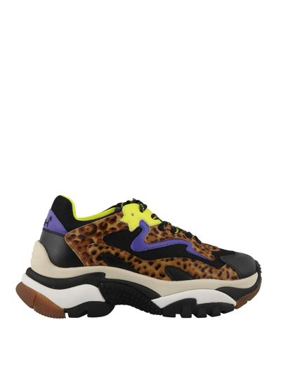 Shop Ash Addict Calf Sneakers In Multicolor