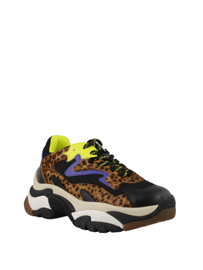 Ash Addict Leo Print Calf Hair Sneakers In Multicolor