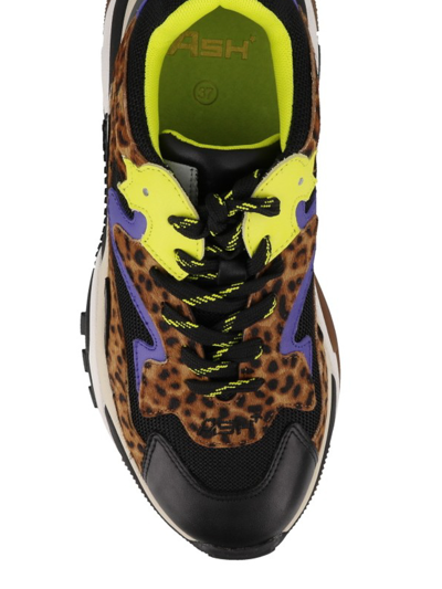 Ash Addict Leo Print Calf Hair Sneakers In Multicolor