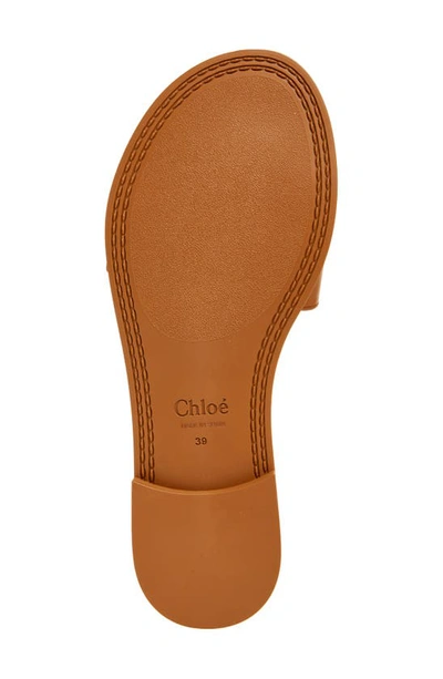 Shop Chloé Marcie Slide Sandal In Caramello