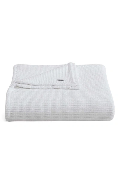 Shop Calvin Klein Honeycomb Cotton Blanket In White