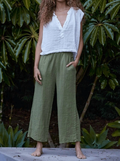 Shop 9seed Coney Island Pant In Pacific In Green