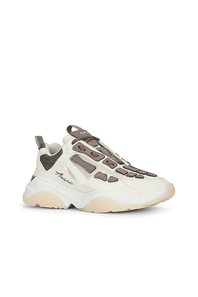 Shop Amiri Bone Runner In Birch