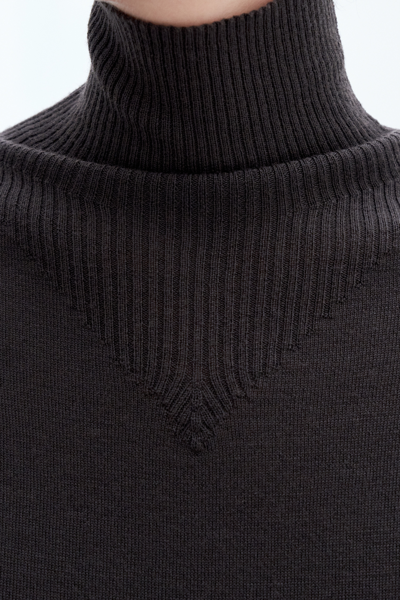 Shop Filippa K Merino Turtleneck Sweater In Brown