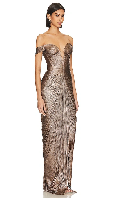Maria Lucia Hohan Schulterfreie Tia Plissee-robe In Metallic Bronze