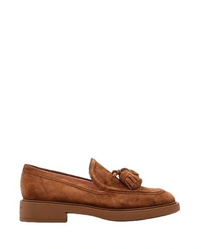 Shop Gianvito Rossi Suede Leather Loafers In Brown