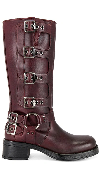 Shop Steve Madden Brocks Boot In Burgundy