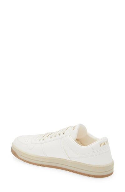 Prada Ivory Nappa Leather Downtown Sneakers In Ivory