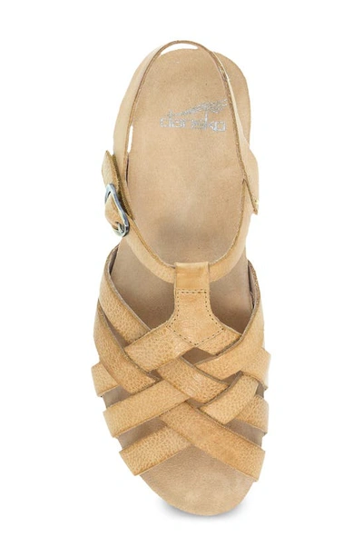 Shop Dansko Tinley Wedge Sandal In Tan