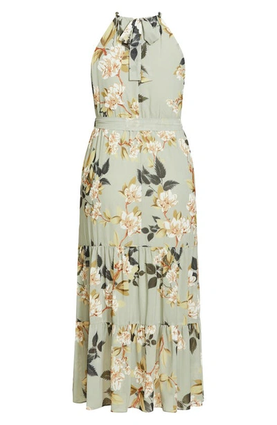 City Chic Halter Love Floral Maxi Dress In Magnolia Floral