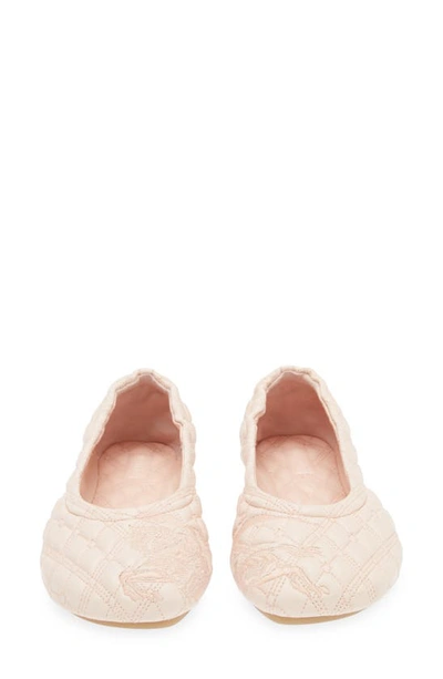 Shop Burberry Sadler Embroidered Ballerina Flats In Baby Neon