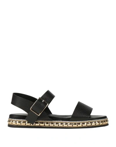 Shop Cécile Woman Sandals Black Size 8 Leather
