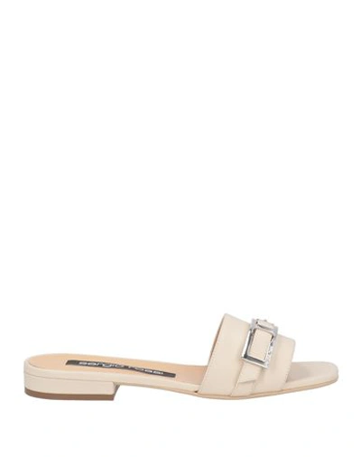 Shop Sergio Rossi Woman Sandals Off White Size 7.5 Calfskin
