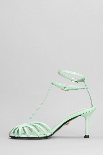 Shop Alevì Jessie 075 Sandals In Green Leather