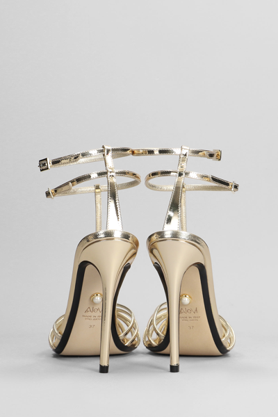 Shop Alevì Stella 110 Sandals In Gold Leather