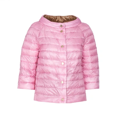 Shop Herno Jackets In Rosa
