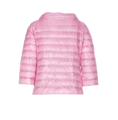 Shop Herno Jackets In Rosa