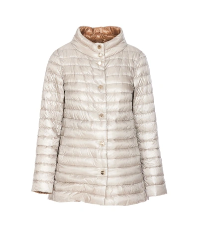 Herno Reversible Button-up Padded Down Jacket In Grigio