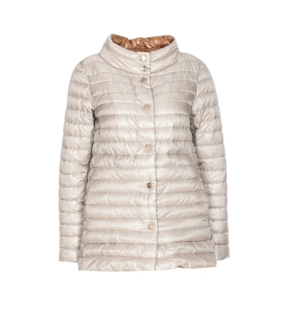 Herno Reversible Button-up Padded Down Jacket In Grigio