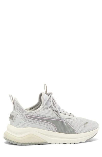 Puma Amplifier Sneaker In Glacial Gray-smokey Gray-grape
