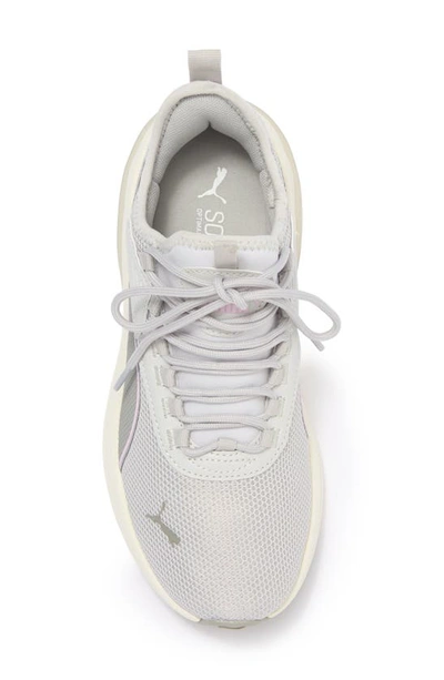 Puma Amplifier Sneaker In Glacial Gray-smokey Gray-grape
