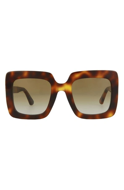 Gucci 53mm Square Sunglasses In Havana Brown