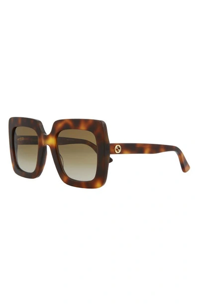 Gucci 53mm Square Sunglasses In Havana Brown