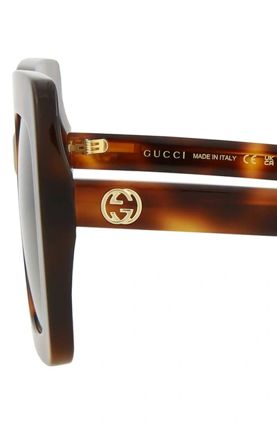 Gucci 53mm Square Sunglasses In Havana Brown