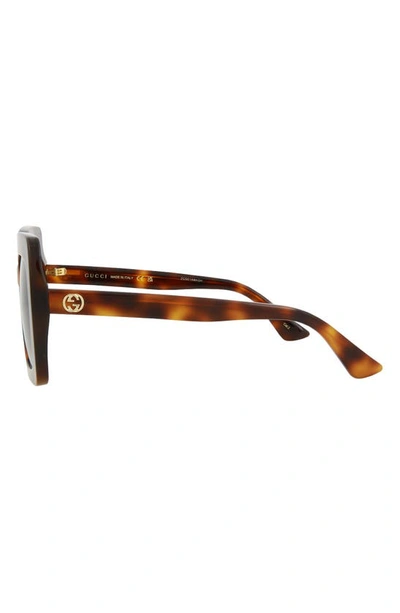Gucci 53mm Square Sunglasses In Havana Brown