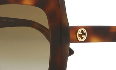 Gucci 53mm Square Sunglasses In Havana Brown