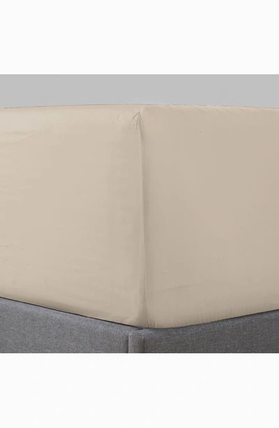 Shop Pure Parima Sateen Fitted Sheet In Tan