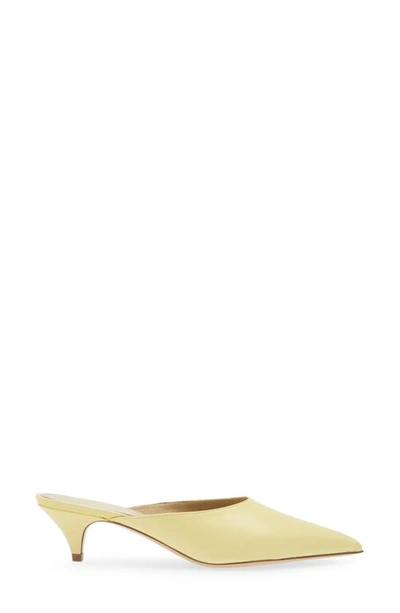 Khaite River Kitten Heel Pointed Toe Mule In Pale Yellow