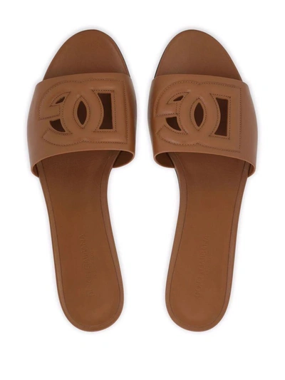 Shop Dolce & Gabbana Sliders Dg Logo Shoes In Brown