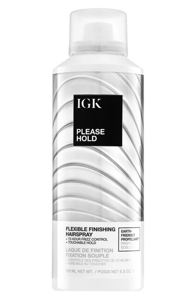 Shop Igk Please Hold Flexible Finishing Hairspray, 5 oz