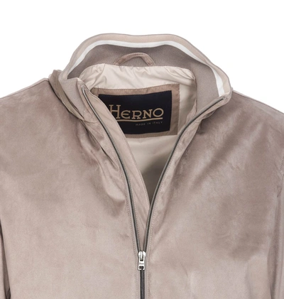 Shop Herno Jackets In Beige