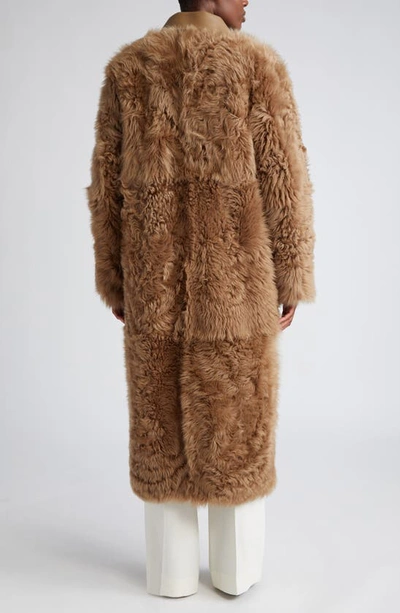 Shop Totême Curly Genuine Shearling Coat In Biscuit