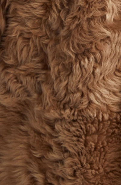 Shop Totême Curly Genuine Shearling Coat In Biscuit