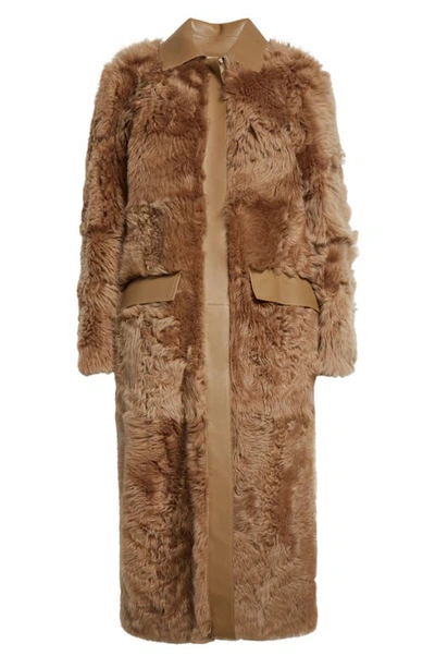 Shop Totême Curly Genuine Shearling Coat In Biscuit