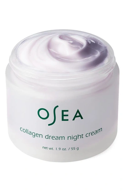 Shop Osea Dream Night Cream