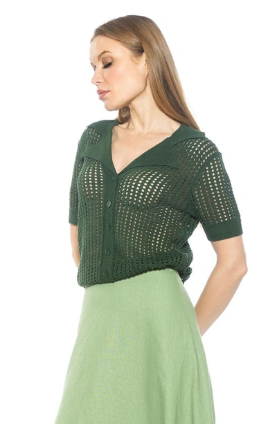 Shop Alexia Admor Josi Crochet Button-up Top In Green