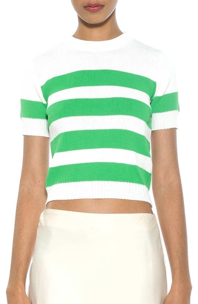 Shop Alexia Admor Pat Stripe Short Sleeve Sweater Top In Ivory/ Green