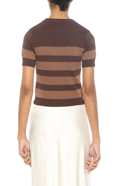 Alexia Admor Pat Stripe Short Sleeve Sweater Top In Brown