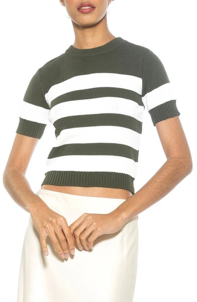 Alexia Admor Pat Stripe Short Sleeve Sweater Top In Sage
