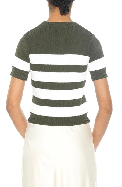Alexia Admor Pat Stripe Short Sleeve Sweater Top In Sage