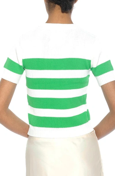 Shop Alexia Admor Pat Stripe Short Sleeve Sweater Top In Ivory/ Green