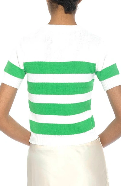 Alexia Admor Pat Stripe Short Sleeve Sweater Top In Ivory/ Green