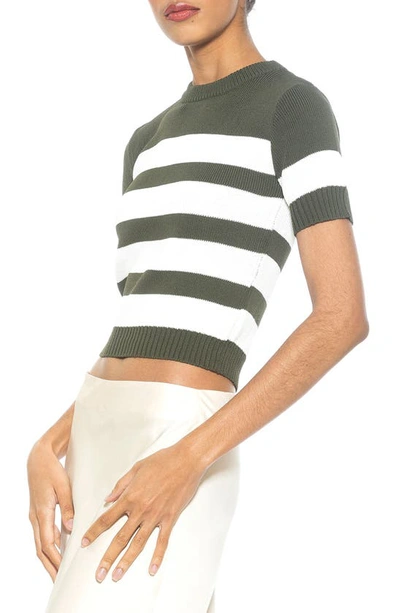 Alexia Admor Pat Stripe Short Sleeve Sweater Top In Sage