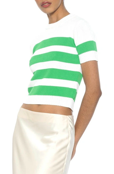 Alexia Admor Pat Stripe Short Sleeve Sweater Top In Ivory/ Green