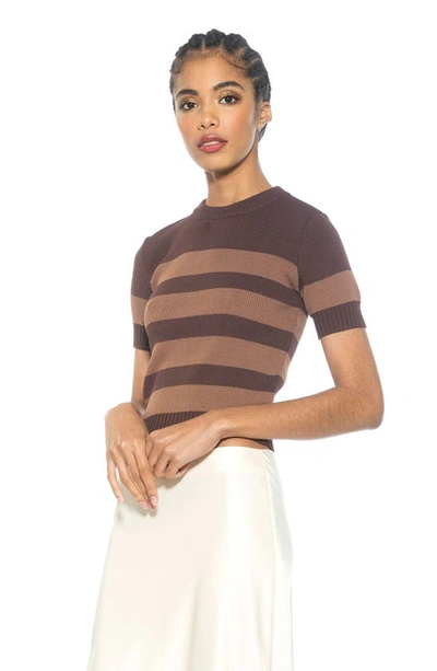 Alexia Admor Pat Stripe Short Sleeve Sweater Top In Brown