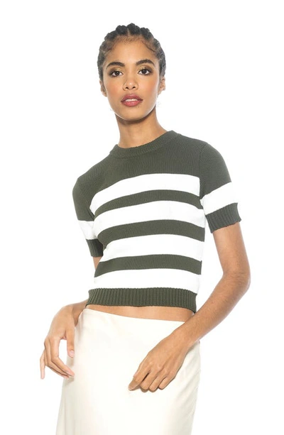Alexia Admor Pat Stripe Short Sleeve Sweater Top In Sage